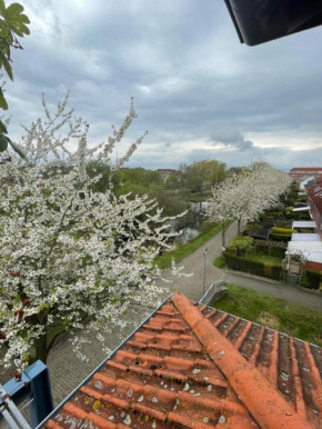 Großzügige Wohnung in Findorff
